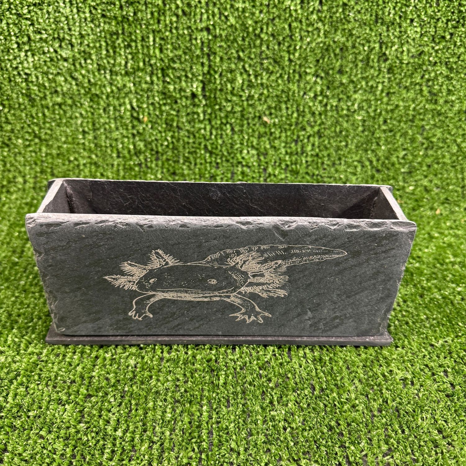 Axolotl Aquarium Bubble Wall Natural slate.