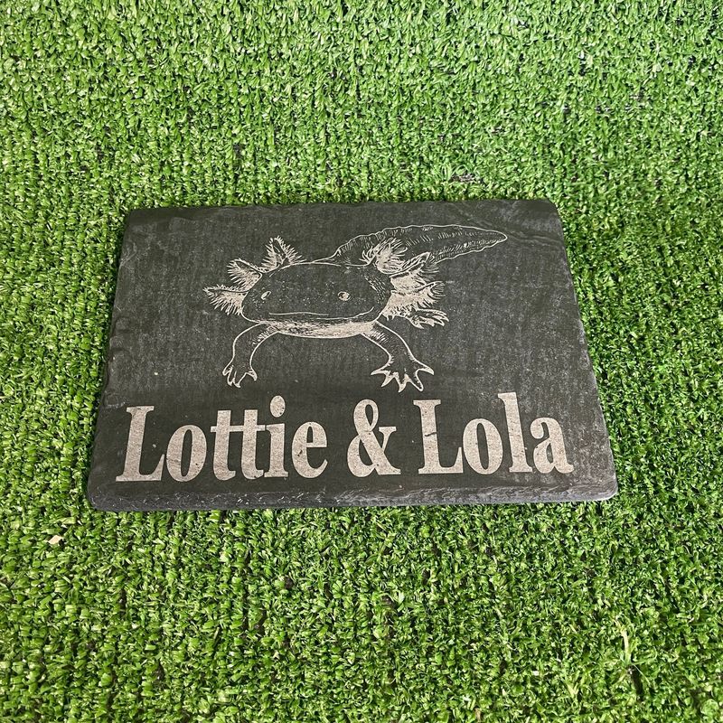 ​Laser Engraved Feeding Slate, Basking 15x20cm