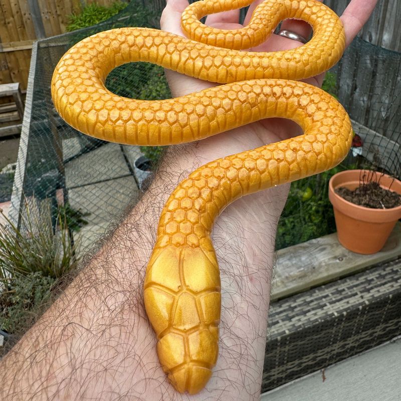 Snake Golden Epoxy Resin Reptile Wall art Vivarium Model