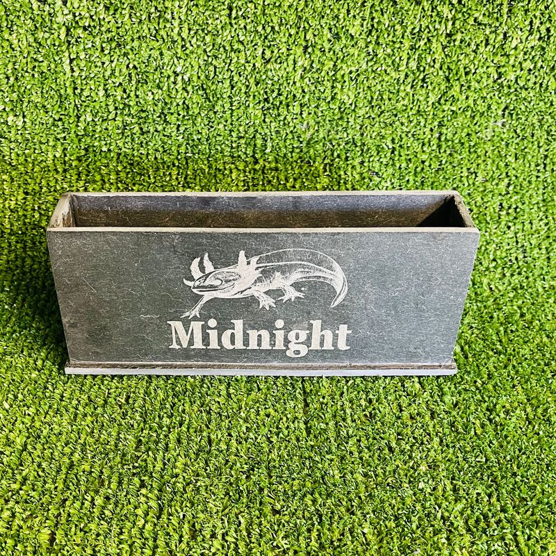 Axolotl Custom Aquarium Bubble Wall Natural slate.