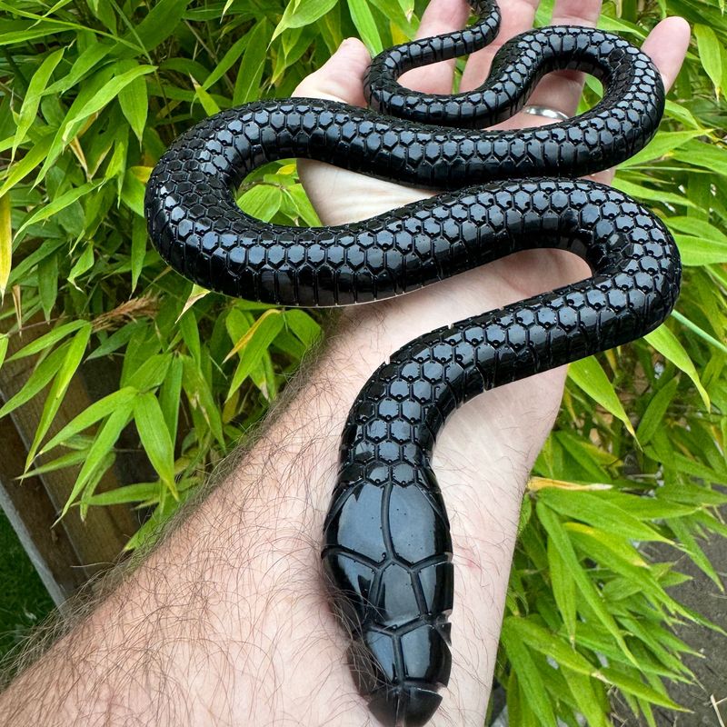 Snake Black Epoxy Resin Reptile Model