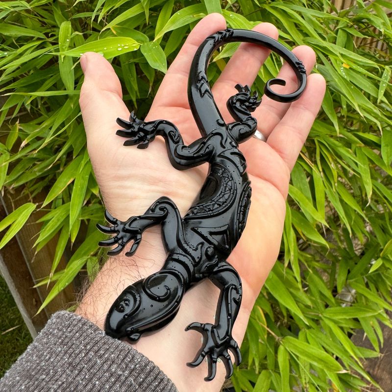 Gecko Lizard Reptile Black