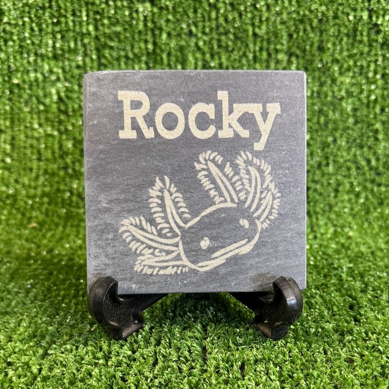 Image 4 Axolotl Laser engraved with Name