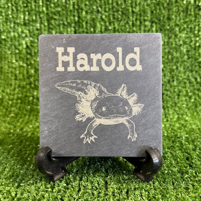 Image 1 Axolotl Laser engraved with Name