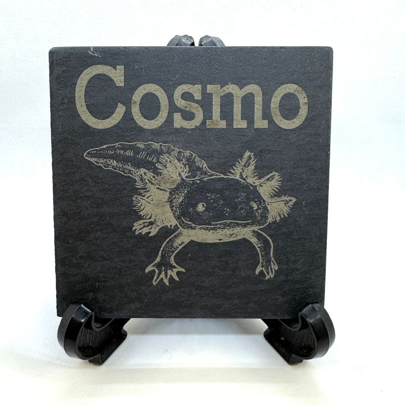 Axolotl Image 1 Laser engraved with Name