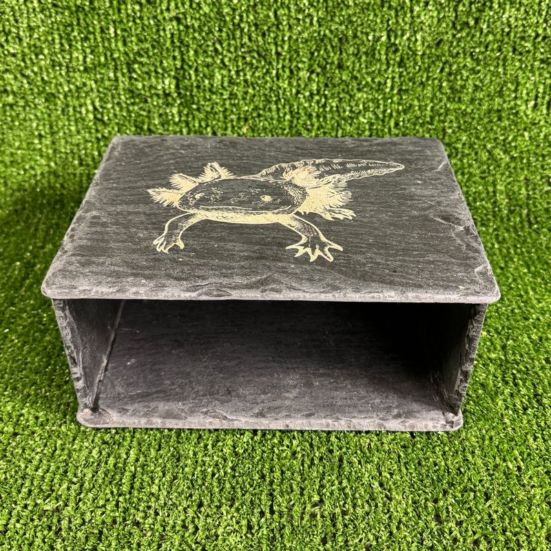 Axolotl​ Slate 20x14x9cm Open Watch Aquarium cave.