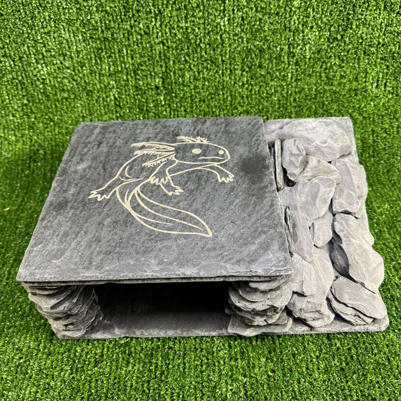 Large Axolotl  3 Laser Engraved Natural Slate Cave
