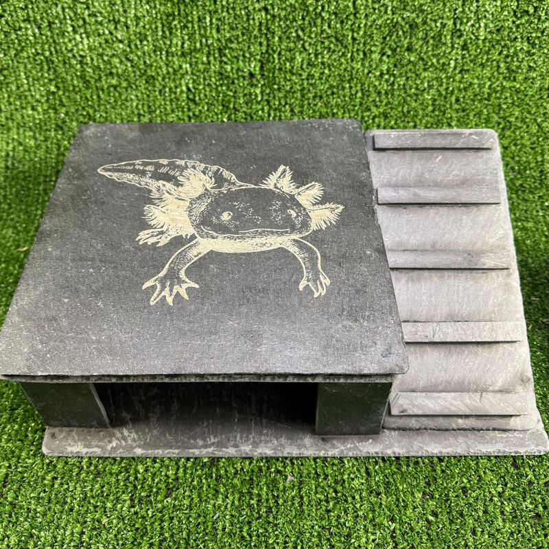 Axolotl 1 XL Slate Cave, Basking Roof, Ramp.