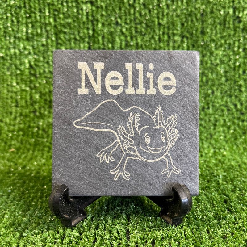 Image 8 Axolotl Laser engraved with Name