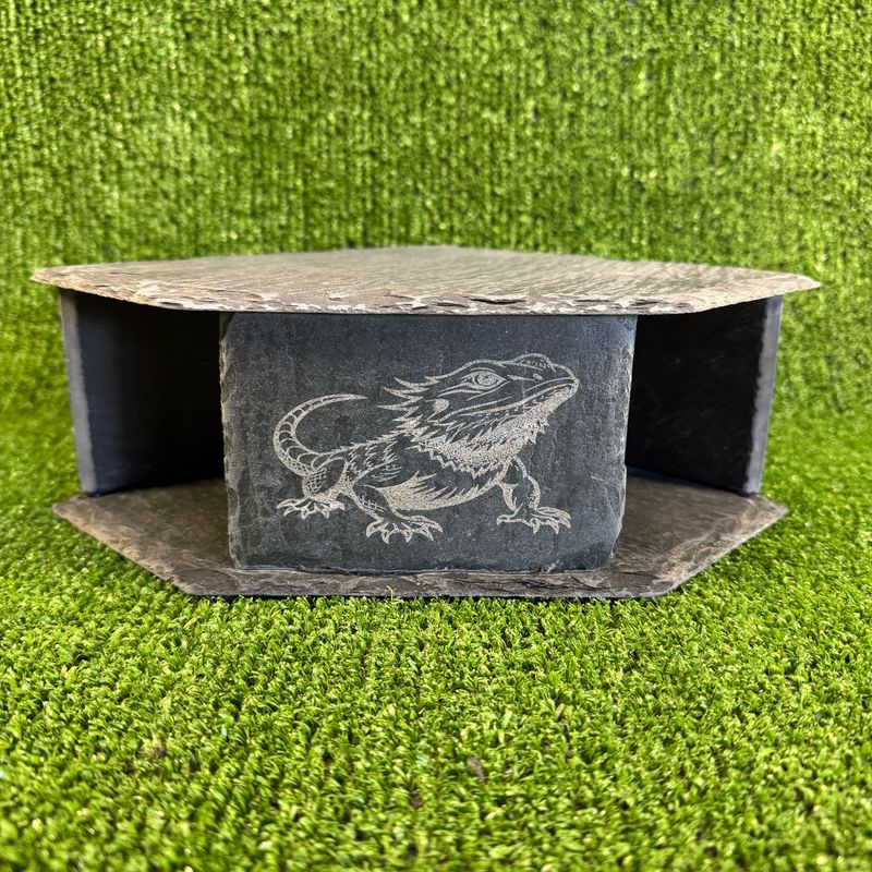 Bearded Dragon Reptile Engraved slate Cave