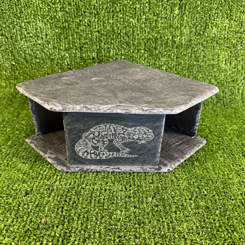 Gecko Lizard Laser Engraved slate Cave