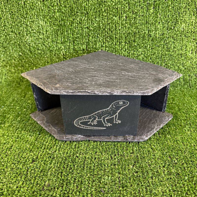 Gecko Lizard Laser Engraved slate Cave