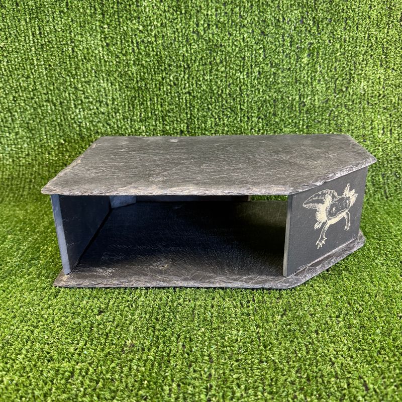 Axolotl Laser Engraved Large Watch Slate Cave