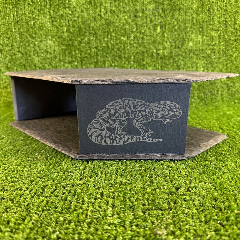 Gecko Laser Engraved Watch Reptile Large Slate Cave