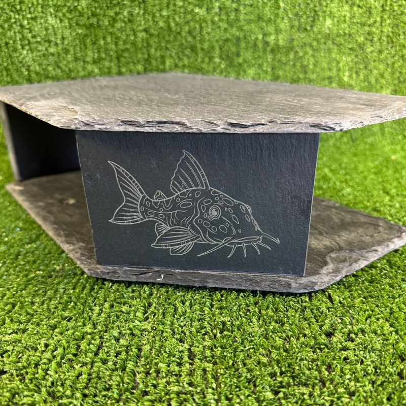 Catfish Laser Engraved Large Watch Slate Cave