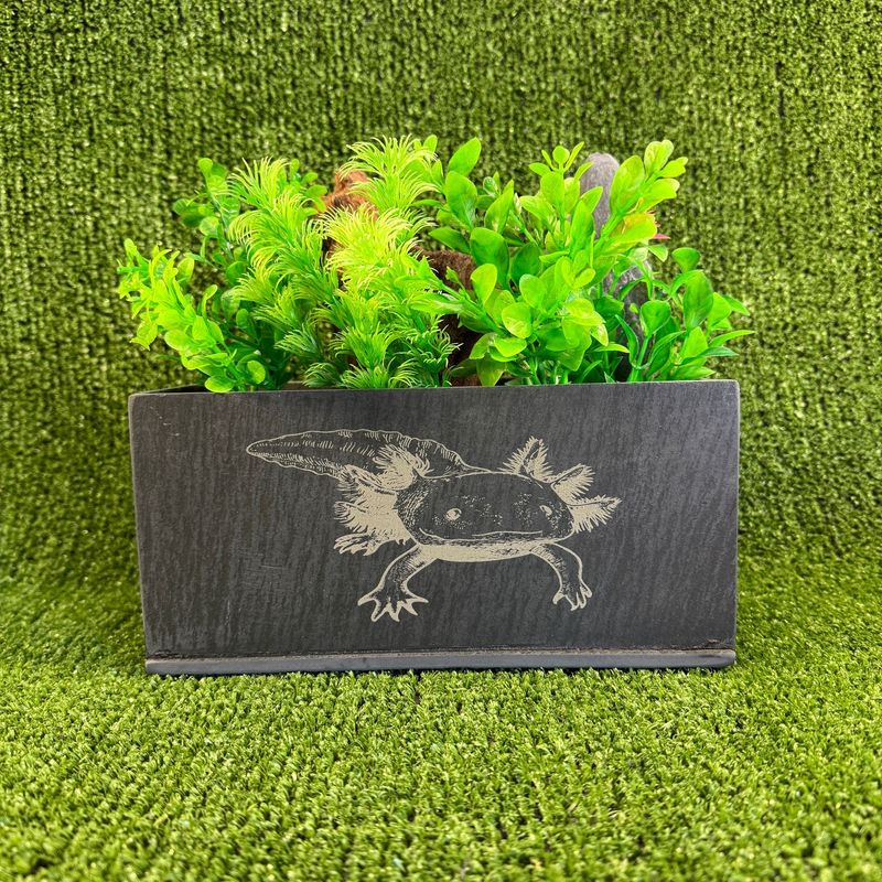 Axolotl Aquarium ​Slate Aquarium Planter.