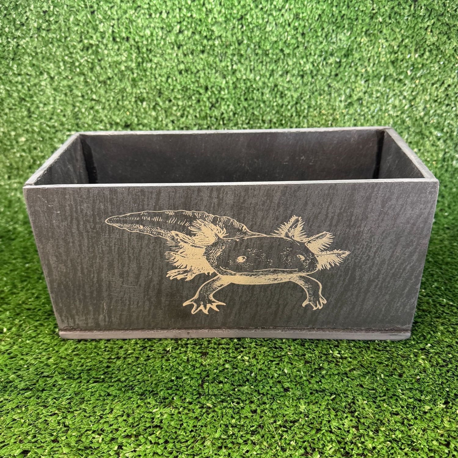 Axolotl Aquarium Slate Aquarium Planter. Axolotl Aquarium Slate Aquarium Planter.