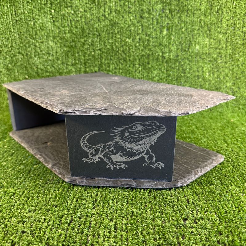 Bearded Dragon Laser Engraved Watch Reptile Large Slate Cave
