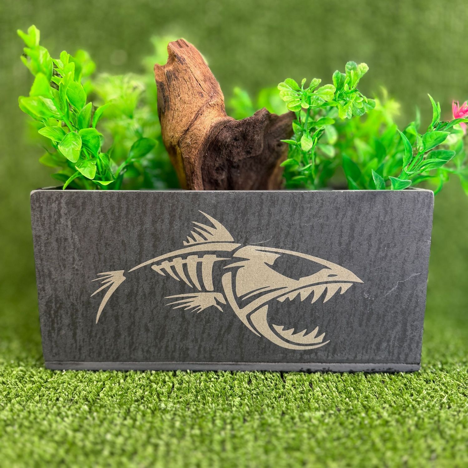 Piranha Image Aquarium Slate Aquarium Planter. Piranha Image Aquarium Slate Aquarium Planter.