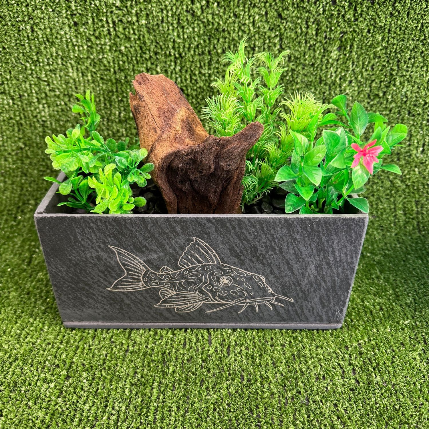 Catfish Image Aquarium Slate Aquarium Planter. Catfish Image Aquarium Slate Aquarium Planter.