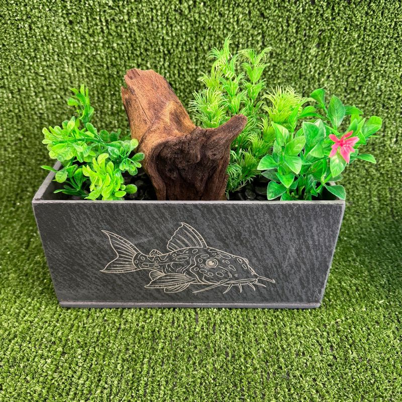 Catfish Image Aquarium ​Slate Aquarium Planter.