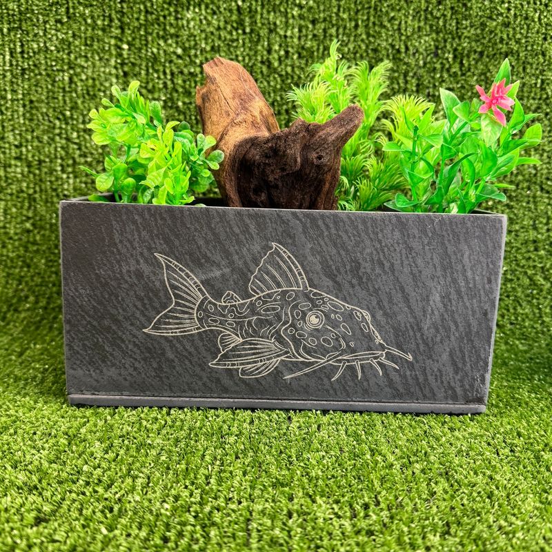 Catfish Image Aquarium ​Slate Aquarium Planter.