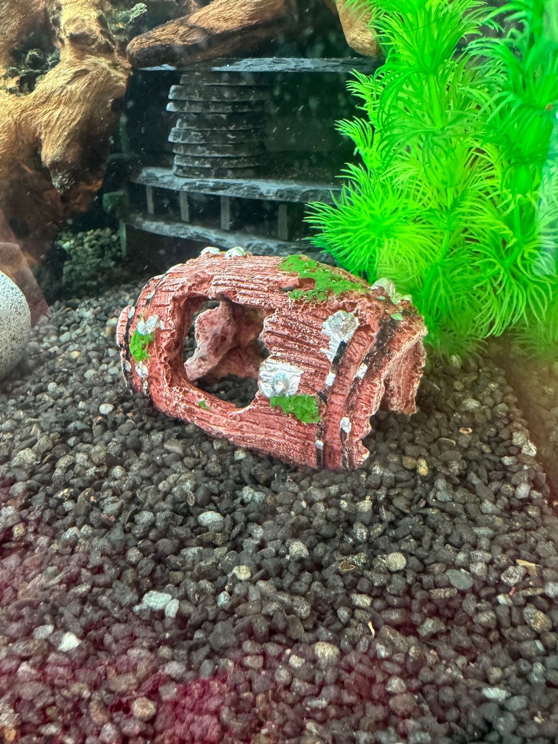 Small Red Barrell Aquarium Fish Fun Decoration. Small Red Barrell Aquarium Fish Fun Decoration.