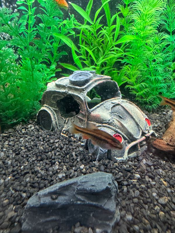 Car Wreck Aquarium Ornament Resin Craft Hideout Cave