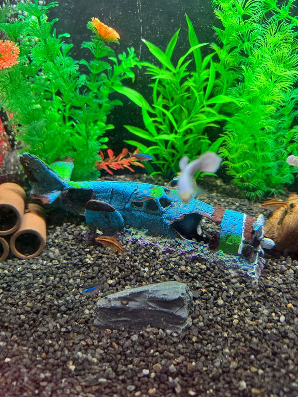 Airplane Decoration Is Suitable for Aquariums And Terrariums
