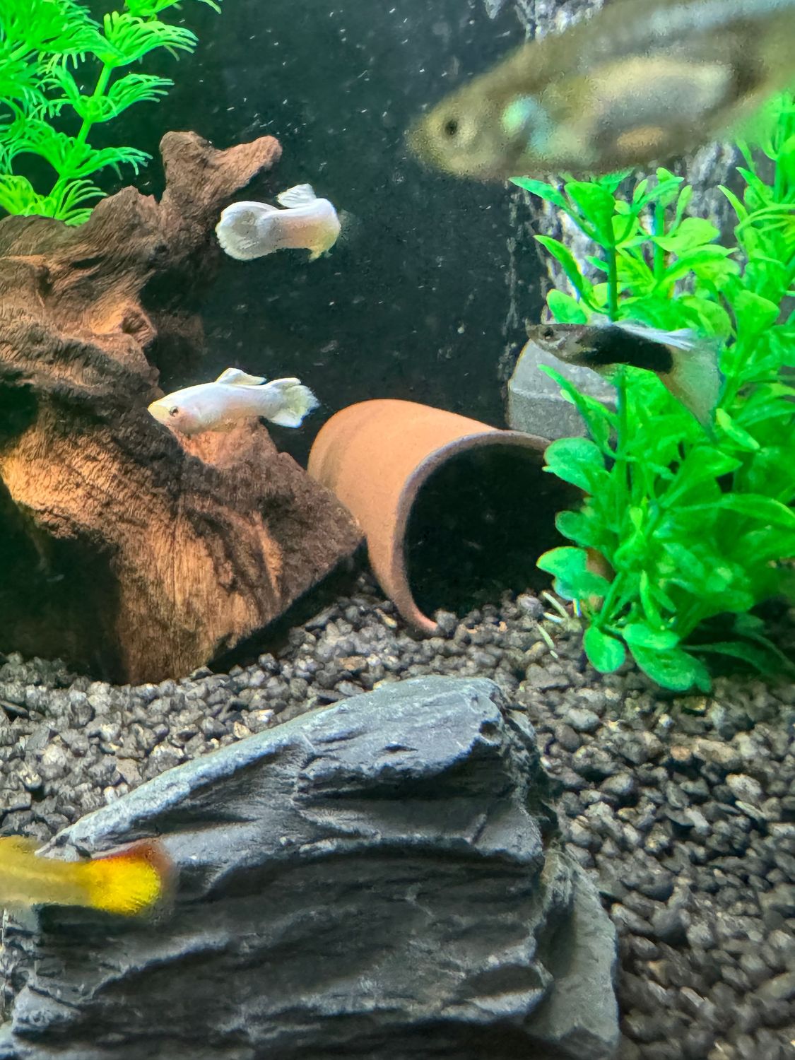 Ceramic Aquarium Cave Shelter, Shrimp, Catfish Tube Ceramic Aquarium Cave Shelter, Shrimp, Catfish Tube