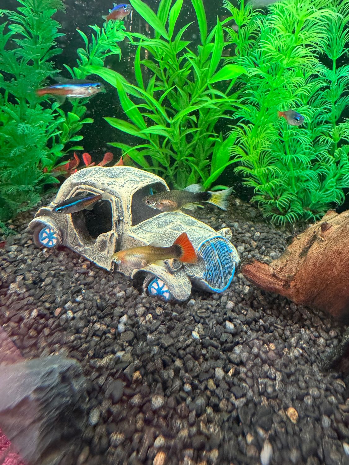 Car Wreck Aquarium Ornament Resin Craft Hideout Cave Car Wreck Aquarium Ornament Resin Craft Hideout Cave
