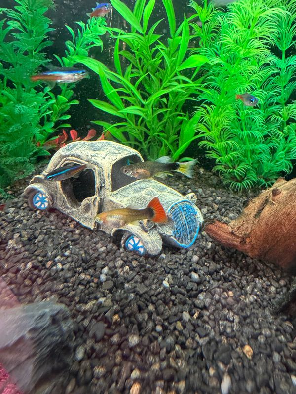 Car Wreck Aquarium Ornament Resin Craft Hideout Cave