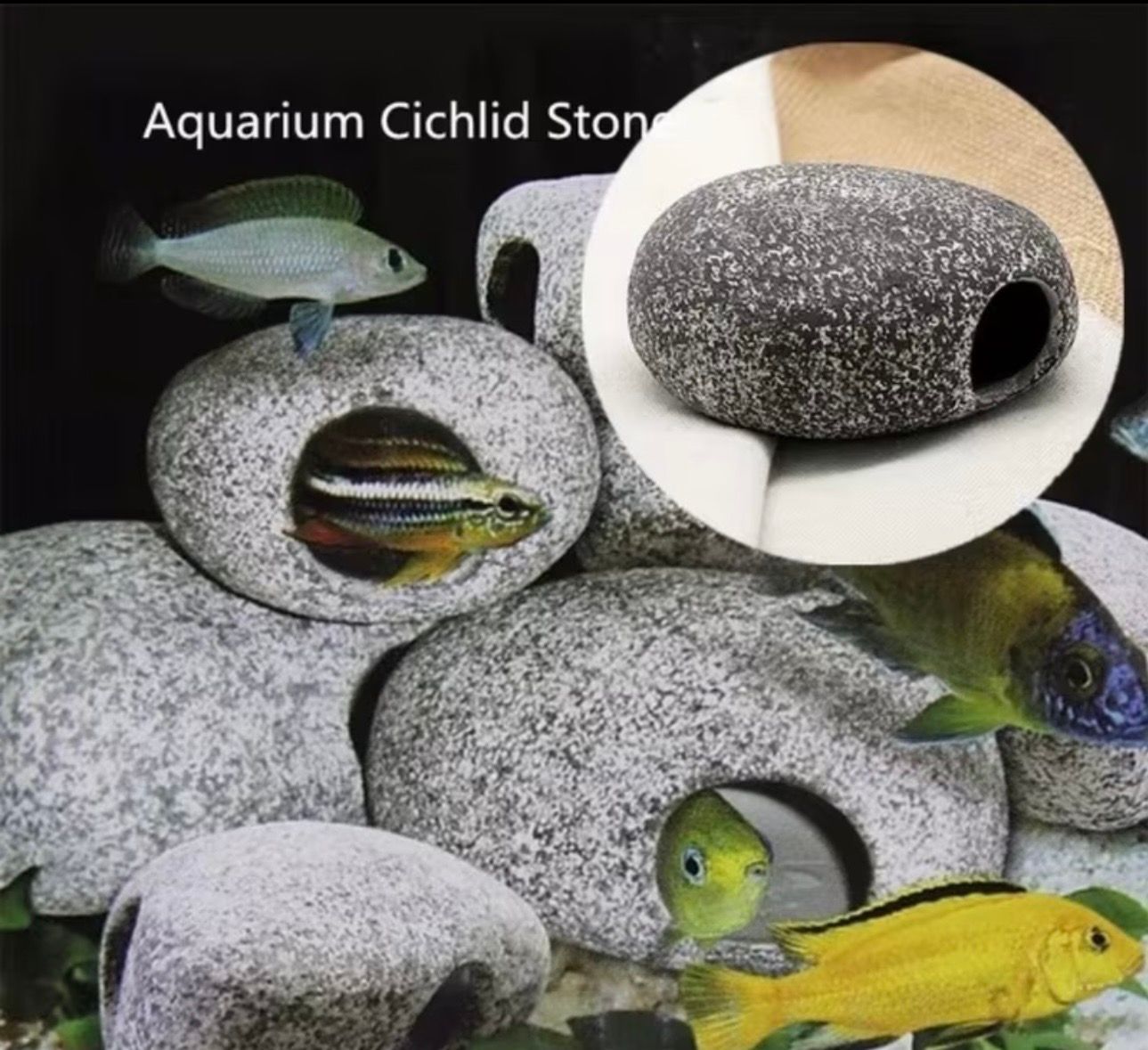 A​quarium Cichlid Stone Cave Fish and Shrimp Hide out.