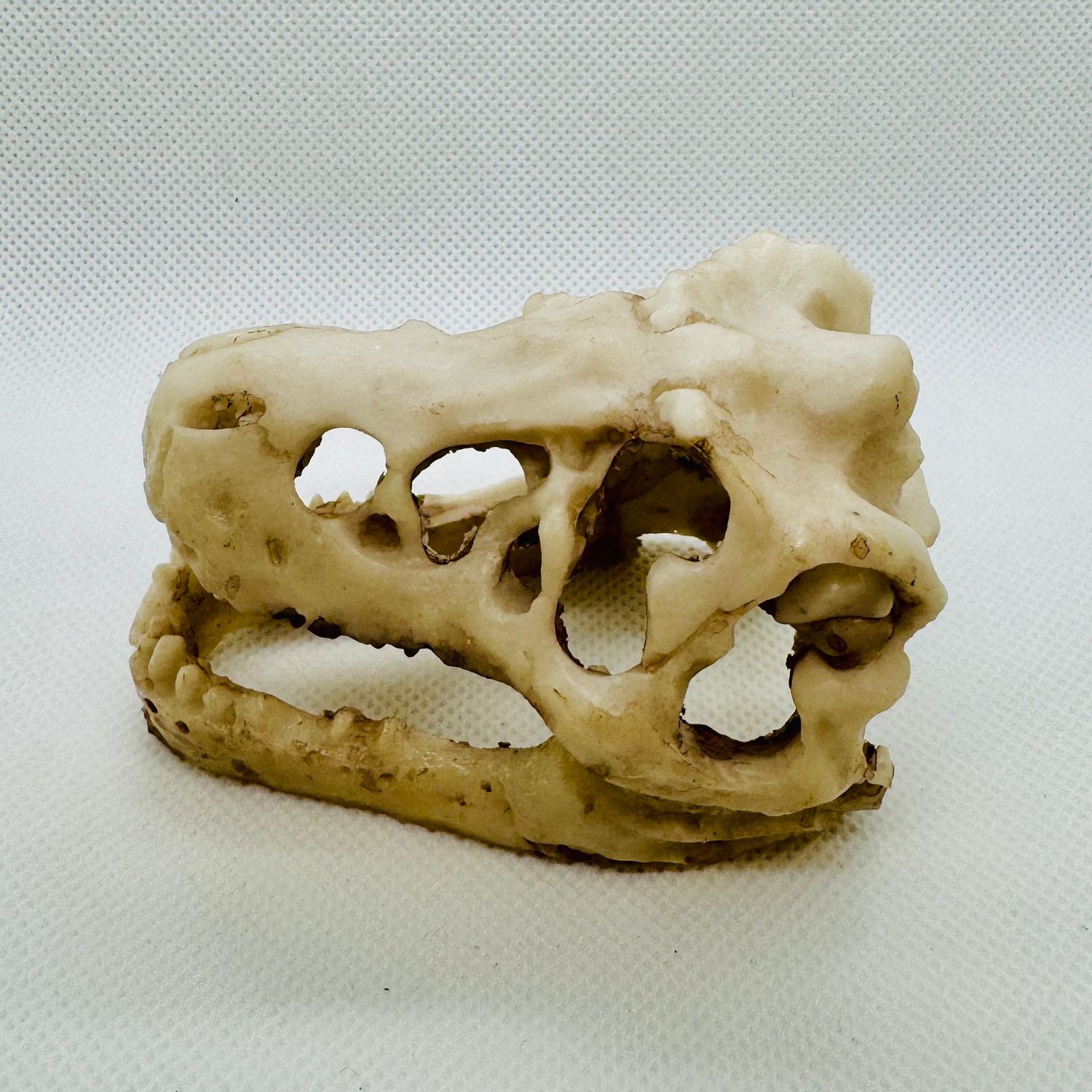 Vibrant Dinosaur Skull Aquarium Decor