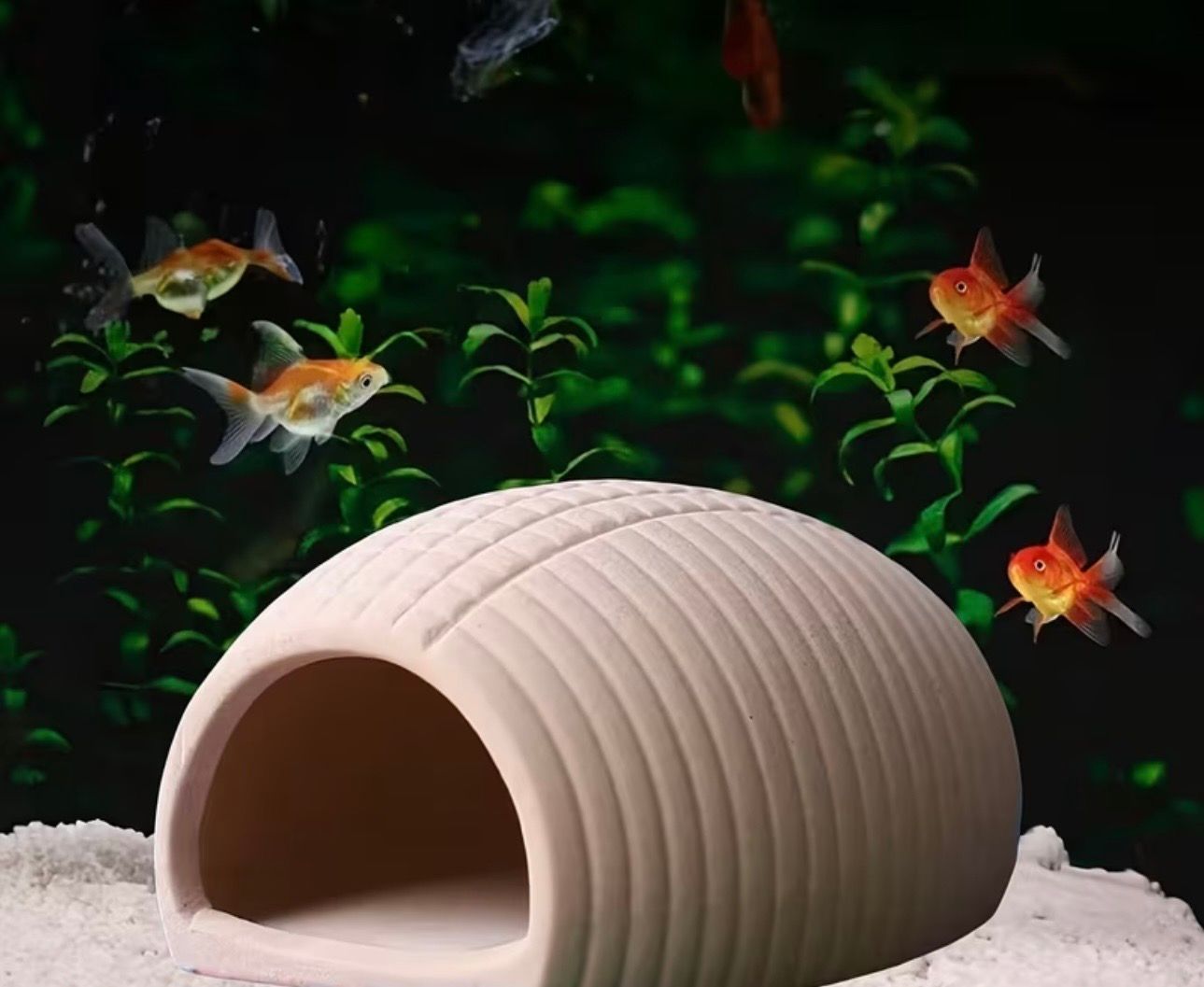 Aquarium Ornament Arch Hideout Jar