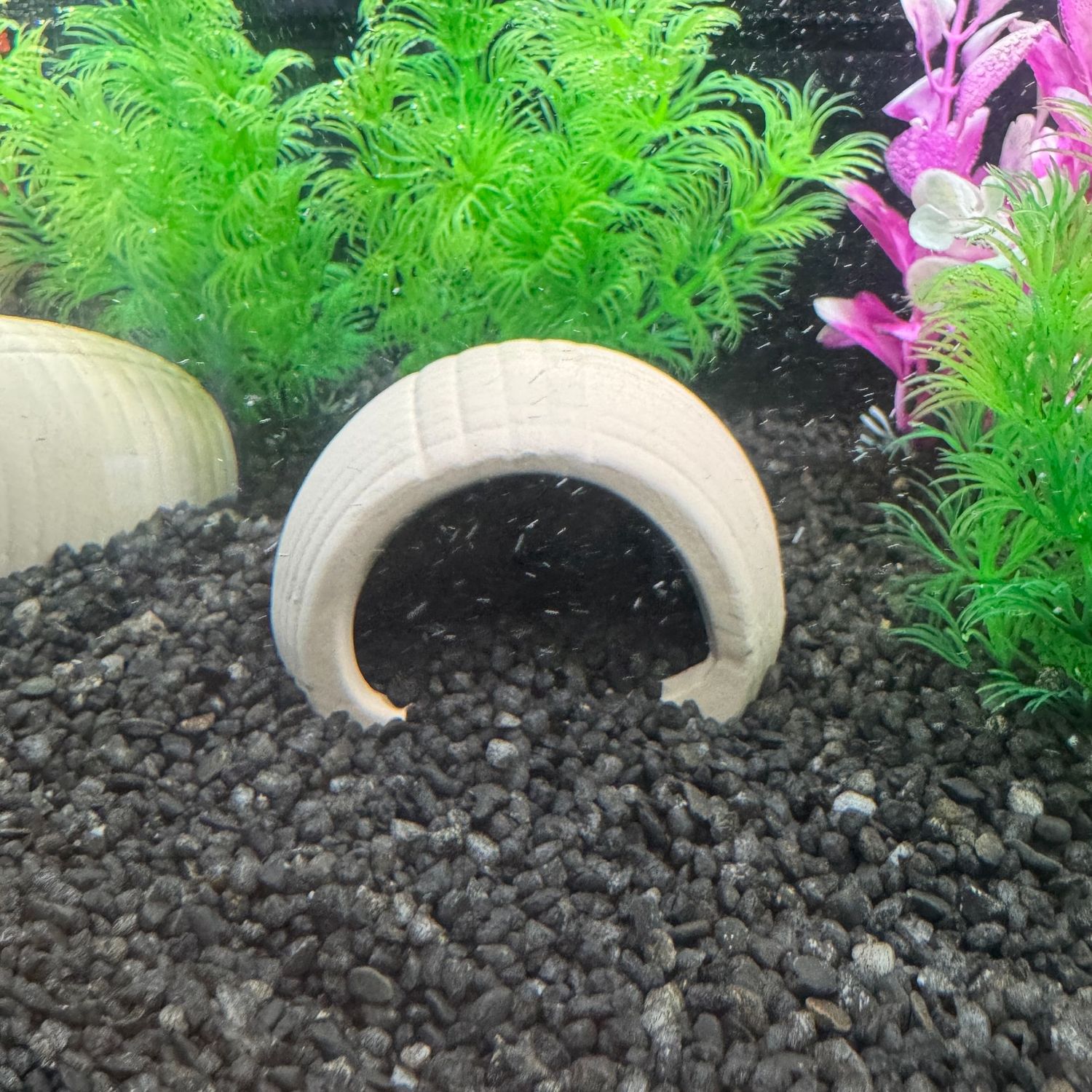 Aquarium Ornament Arch Hideout Jar Aquarium Ornament Arch Hideout Jar