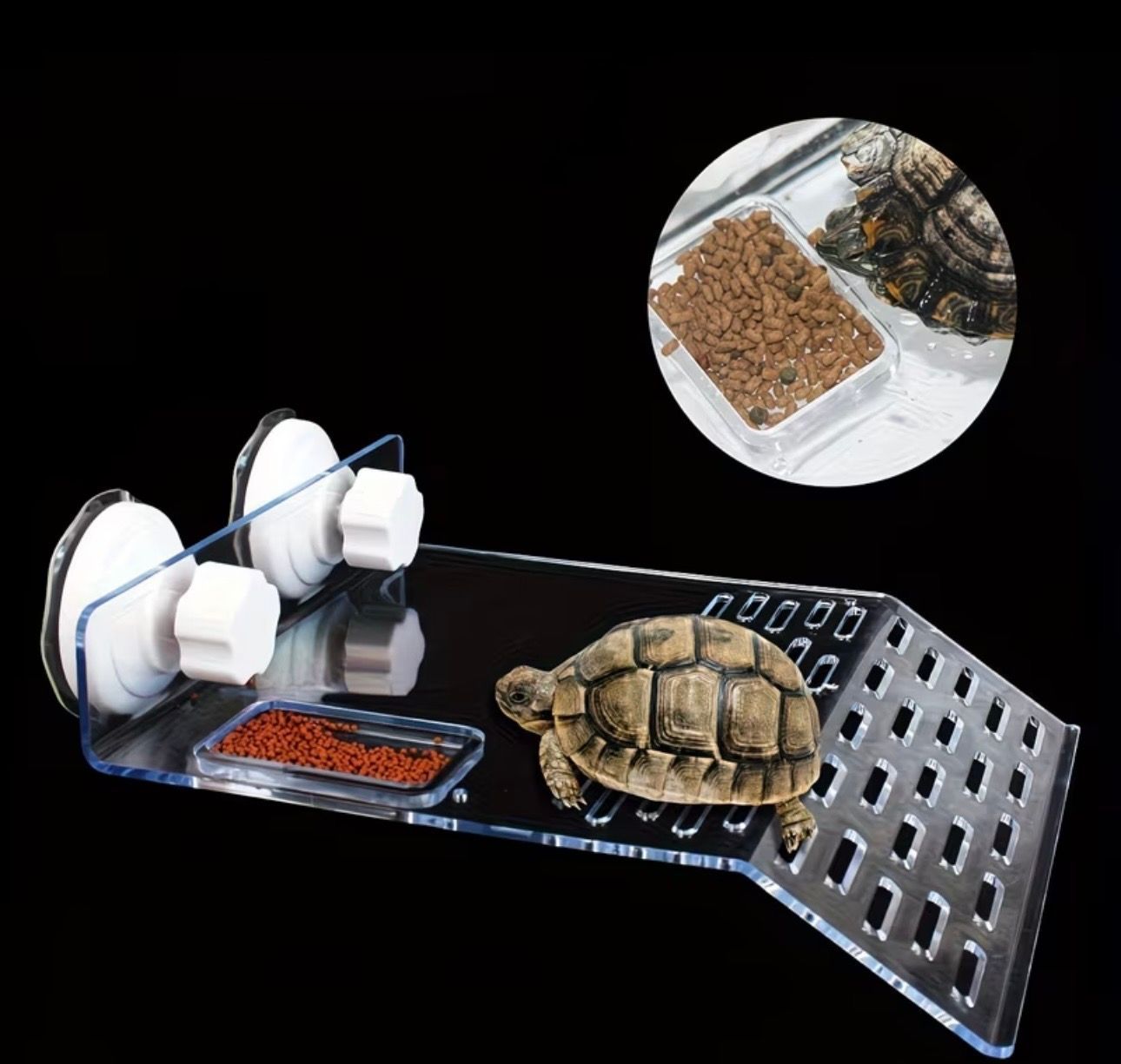 Amphibious Terrapin Axolotl Basking Platform