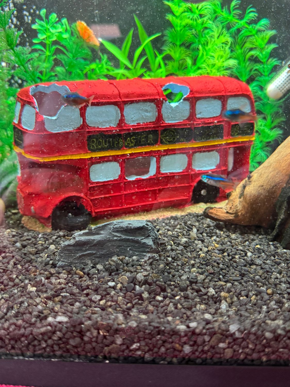 Aquarium London Red Routemaster Bus Decoration Aquarium London Red Routemaster Bus Decoration