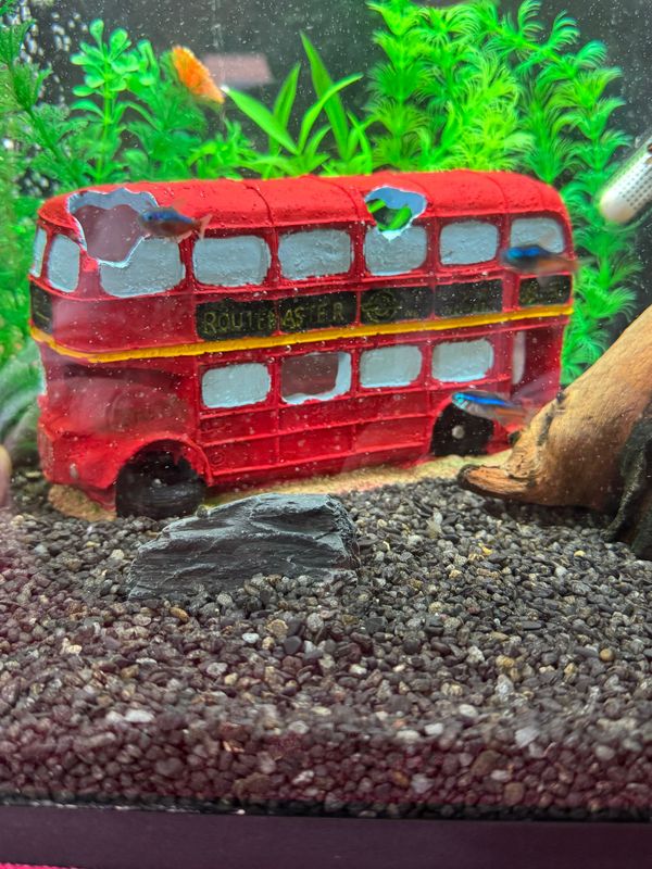 Aquarium London Red Routemaster Bus Decoration