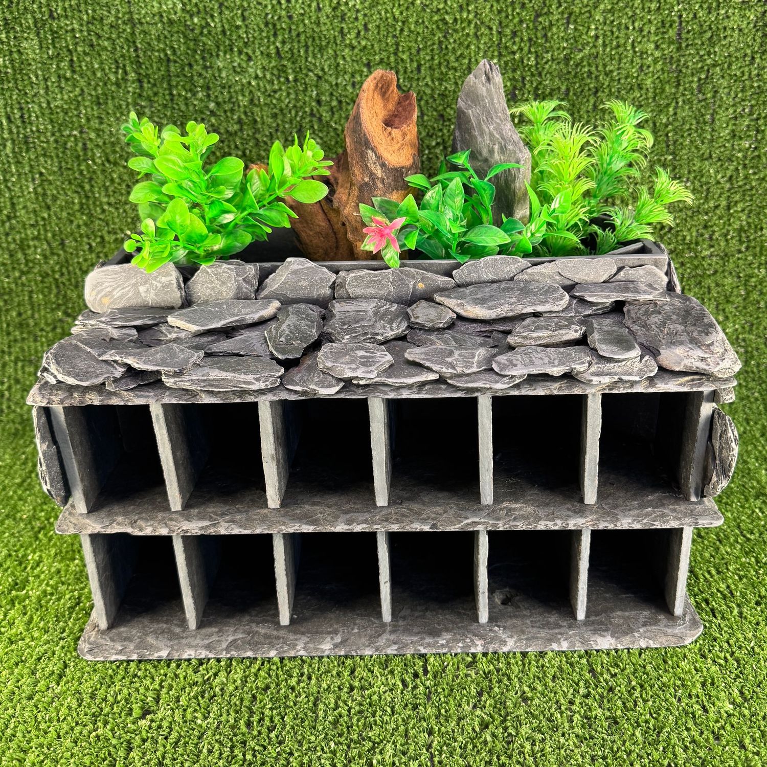 Large Multi-Cave Catfish, Loaches, Fry, Shrimps with Planter
