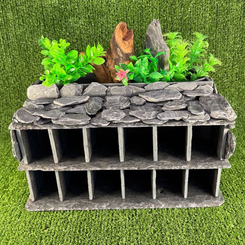Large Multi-Cave Catfish, Loaches, Fry, Shrimps with Planter