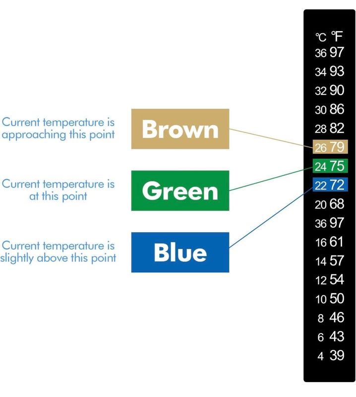 Stick-on Aquarium / Reptile / Home Brew Thermometer Strip