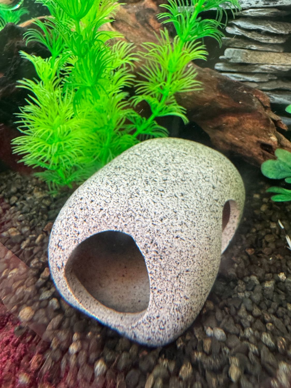 Aquarium Cichlid Stone Cave Fish and Shrimp Hide out. Aquarium Cichlid Stone Cave Fish and Shrimp Hide out.