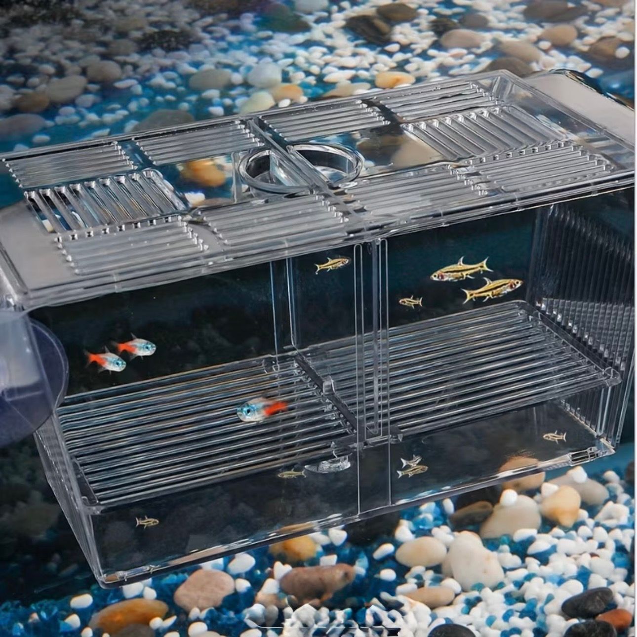 Fish Isolation Box Acrylic Hatchery Fish Breeding Box Aquarium Breeder Box. Fish Isolation Box Acrylic Hatchery Fish Breeding Box Aquarium Breeder Box.