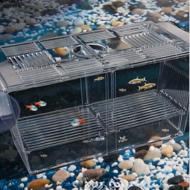 Fish Isolation Box Acrylic Hatchery Fish Breeding Box Aquarium Breeder Box.