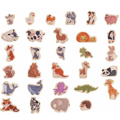 Magnetic Animals
