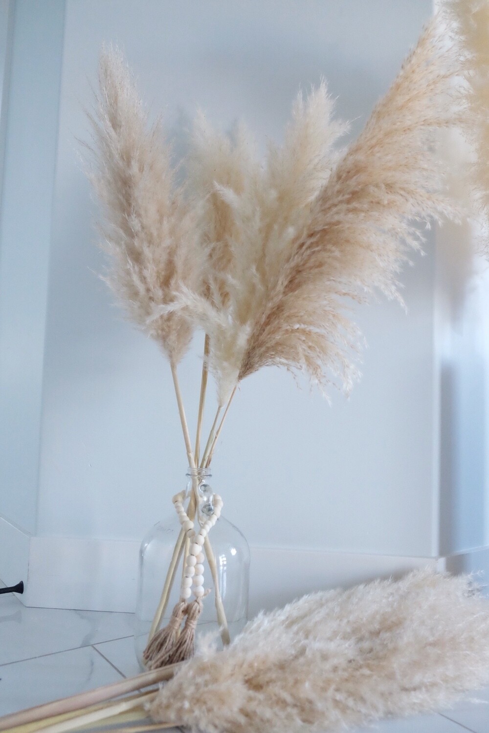 Large Champagne Pampas
