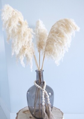 Fluffier and Wilder Pampas