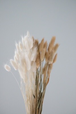 Dried Bunny tails