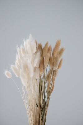 Bunny tails